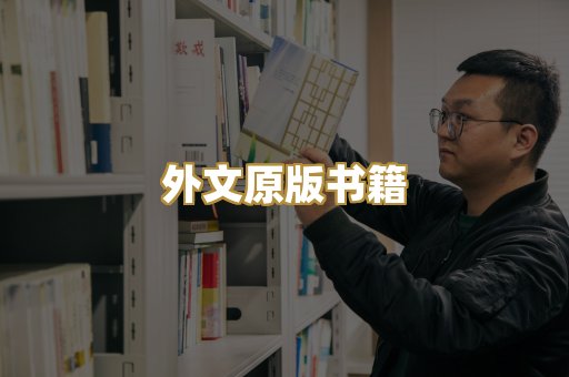 TXT文本书库